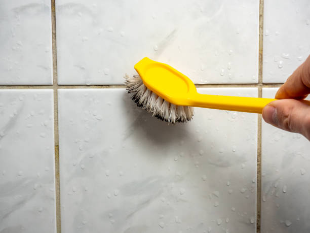 Best Localized Mold Remediation (e.g., coastal areas, humid climates) in Valley View, OH